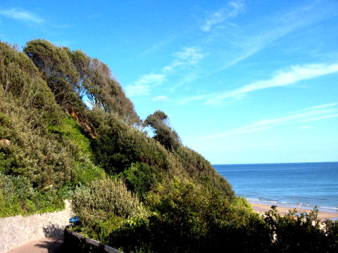 beach