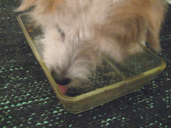 lick