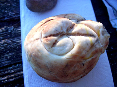 erilainentikkupulla