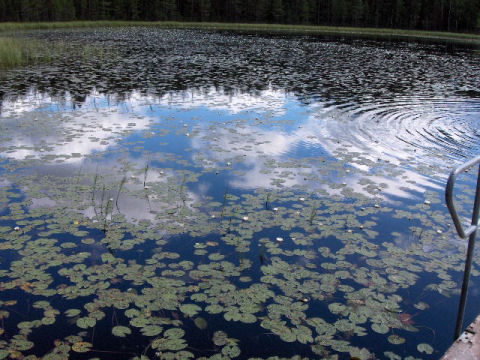 iilijärvi2