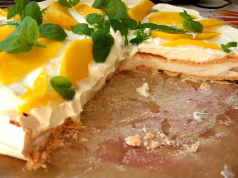 mangopavlova