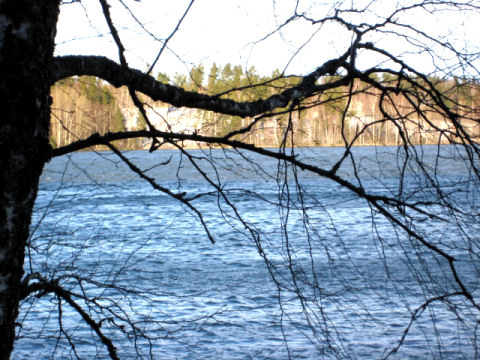 talvijärvi