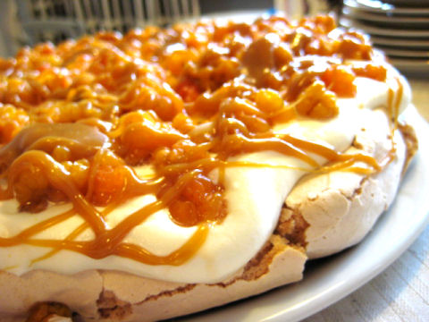 nuskipavlova