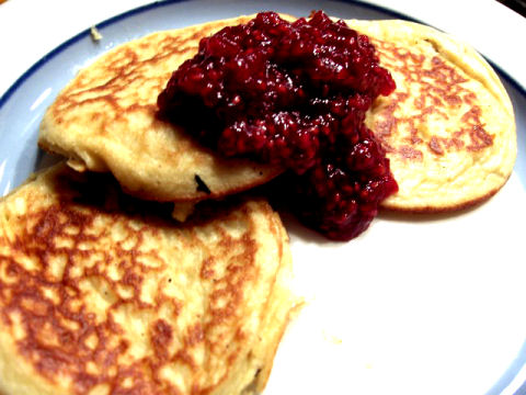 paleopannarit