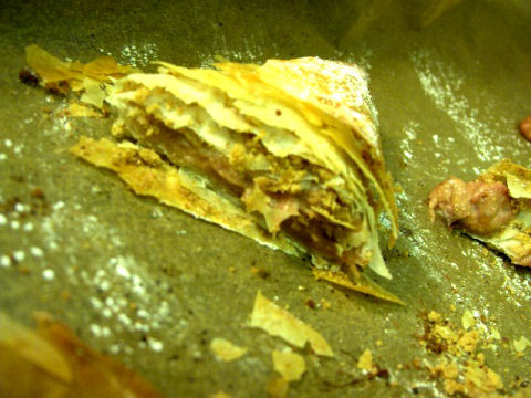 filo4