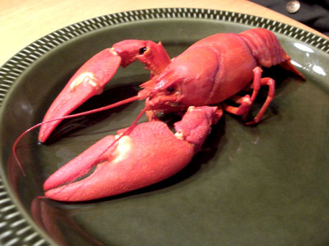 punarapu