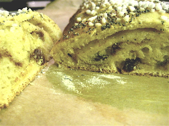 retropulla