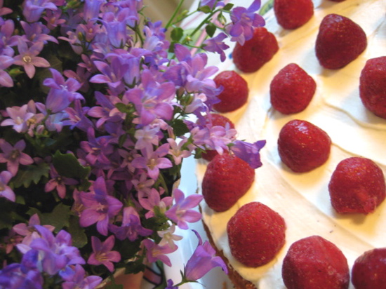 rhubarb