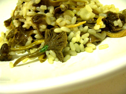risotto