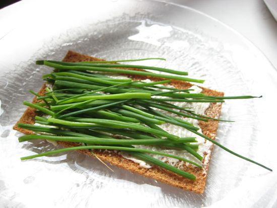 ruohosipuli
